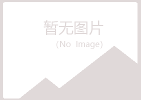 上海冰夏化学有限公司